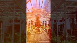 Hotel Vasaka alun alun bandung Aesthetic hotelvasaka alunalunbandung aesthetic cinematicvideo [upl. by Lamdin]