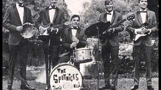 The Spotnicks  Drina 1964 [upl. by Mcferren353]