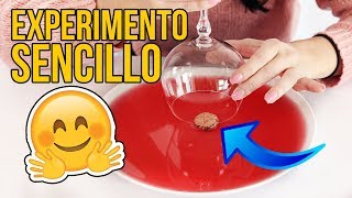 EL INCREÍBLE EXPERIMENTO SENCILLO QUE PUEDES HACER EN CASA [upl. by Ylrebnik]