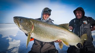 Giant Lake Trout Of The North My Biggest Through The Ice [upl. by Nema616]