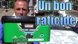 Un bon raticide pour les rats noirs amp souris pâte efficace lieu sec humide intérieur extérieur [upl. by Adnohsak]