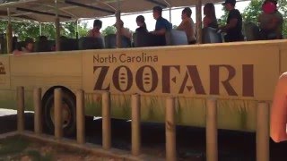 Boarding Zoofari at North Carolina Zoo [upl. by Nyletak537]