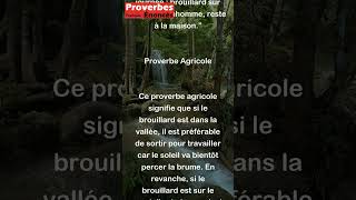 Proverbe Agricole  Brouillard dans la vallée bonhomme va à ta journée  brouillard sur l shorts [upl. by Anema]