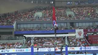 Donnell Whittenburg  Parallel Bars  2014 World Championships  Event Finals [upl. by Ised]