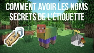 Comment avoir tous les noms secret de létiquette sur Minecraft TUTO jeb dinnerbone etc [upl. by Mahalia]