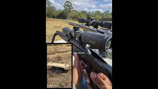 Shooting aerosol gas cans with Ruger Precision 22 Rimfire Rifle wearegundays guns shooting [upl. by Ahsinan]