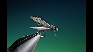 Fly Tying a Float foam ant fly with Barry Ord Clarke [upl. by Materse259]