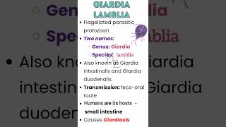 Giardia lamblia causes Giardiasis medzukhruf parasitology parasitic medicalfield [upl. by Suollecram80]