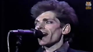 Virus  En vivo Festival Rock And Pop 1985 HD [upl. by Jecoa]