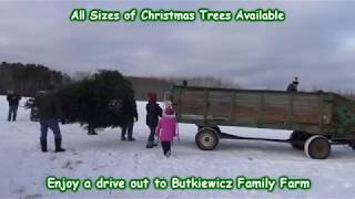 Butkiewicz Family Farm Christmas Trees [upl. by Retswerb]