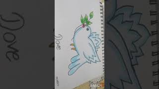 How to draw a bird dove Shorts [upl. by Ahsii]