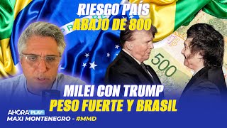 RIESGO PAÍS CAE ABAJO DE 800 MILEI CON TRUMP PESO FUERTE Y BRASIL  Maxi Montenegro MaxiMediodía [upl. by Omrelliug701]