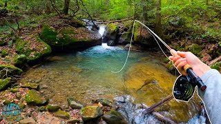 Fly Fishing for MY BIGGEST BROOK TROUT EVER New PB [upl. by Adolph]