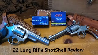 22LR Shotshell  Federal VS CCI [upl. by Irisa12]