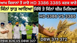 HD 3386  3385 Wheat Varieties … DBW 370  371  PBW 826 VS DBW 327 ਕਿਹੜੀ ਕਿਸਮ ਰਹੀ ਟੌਪ ਤੇ [upl. by Aligna]