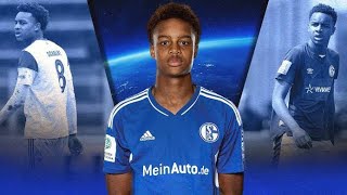 Assan OuedraogoThe Jewel Of Schalke [upl. by Dasi696]