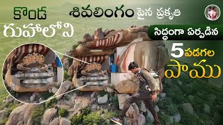 గుహలో శివలింగానికి పడగ వడ్డిన 5తలల పాము  Ancient History Of Uravakonda Hill [upl. by Eirrab]