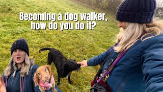 HOW TO BECOME A DOG WALKER PART 2 [upl. by Eduam]