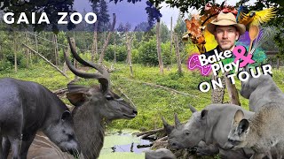 Bake amp Play on Tour  Gaia Zoo Kerkrade  Vlog [upl. by Ennovy]