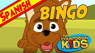 BINGO Spanish Version  The Countdown Kids  Kids Songs amp Nursery Rhymes  Lyric Video [upl. by Anyel]