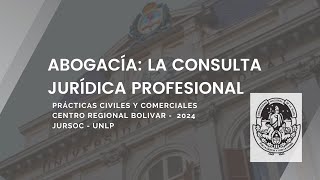 Consulta jurídica profesional [upl. by Akinej]