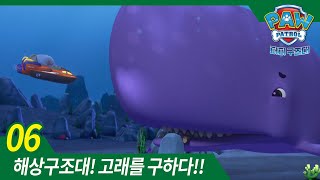 한글판퍼피구조대 269화  고래야 구하라 고래 [upl. by Namien559]