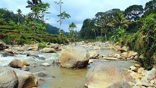 Rumbling River Sounds Through Rocky Mountain White Noise For Sleep Relaxing Nature Video Focus [upl. by Riorsson48]