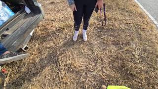 Metal Detecting a 1700s Farm [upl. by Intihw]