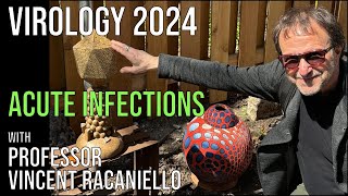 Virology Lectures 2024 16 Acute Infections [upl. by Valeda]