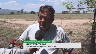 CAMBIO AGROPECUARIO Nº 1402  GUSTAVO YARAD  Recorredor de Campo – COPROTAB [upl. by Eam103]