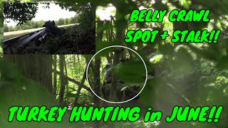 BELLY CRAWL SPOT  STALK in 90 DEGREE HEAT  TURKEY HUNTING in JUNE [upl. by Stoat]