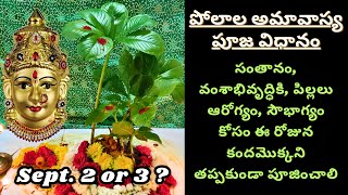 Polala Amavasya 2024 Pooja for children  Shravana amavasya  Kanda Mokka Pooja  పోలాల అమావాస్య పూజ [upl. by Sandra848]