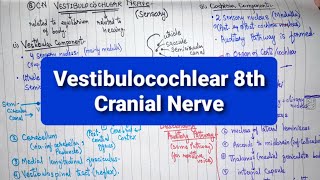 Vestibulocochlear Nerve  8th Cranial Nerve  Part 2  Neuroanatomy [upl. by Ahseinaj]