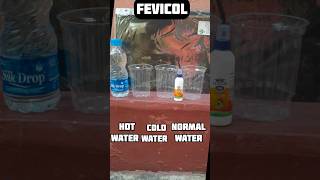 Fevicol vs hot×cold×normal water scienceexperiment shortsfeed simpleexperiment homedecor diy [upl. by Hochman348]