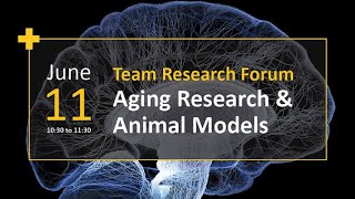 Team Research  Aging Research amp Animal Models [upl. by Aiduan]