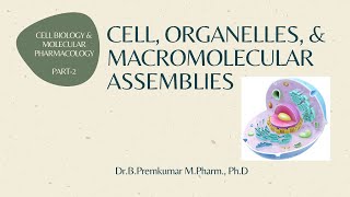 Cell Organelles amp Macromolecular assemblies  CBMPPart2 [upl. by Eiddal]