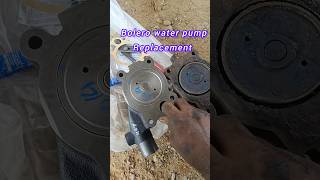 Bolero water pump replacement shorts ytshorts automobile mechanic trending viralvideo bolero [upl. by Anpas]