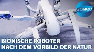 Bionische Helfer Die Zukunft der Robotertechnologie inspiriert durch die Natur [upl. by Yecal]