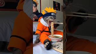 Naruto Cat eating ramen 🍜 🙀💀  Huh [upl. by Akiram]