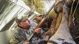 Goose Hunting and Cooking with Kendall Frederick  Specklebelly Goose Recipe [upl. by Chader]