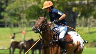 🏇Torneo de Polo Juvenil  Copa Armando Lloreda Z  Club Campestre de Cali [upl. by Nigem]