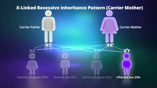 What is Xlinked Recessive Inheritance [upl. by Megargee812]