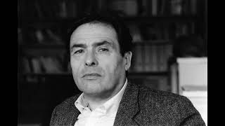 El concepto de campo cultural que propone Pierre Bourdieu [upl. by Enelrad]