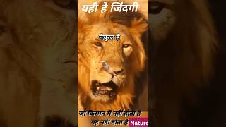 motivation reels status love viralvideo new news short [upl. by Analihp]