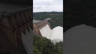 Dam के gates को क्यो खोला जाता है by Known CURIOUS shorts [upl. by Anilorac925]