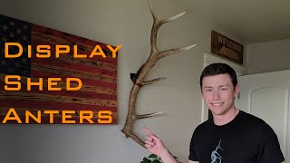 How to Display Shed Antlers [upl. by Munafo]