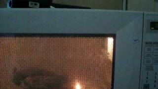 Microwave magnetron burning out [upl. by Birkle]