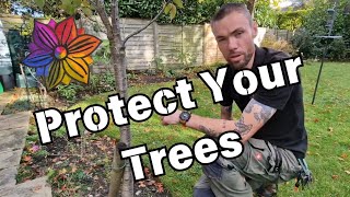 Protect Your Trees and Prevent Girdling [upl. by Leasi857]