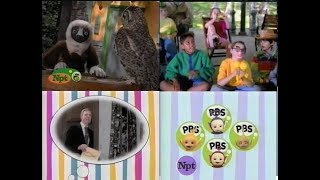 PBS Kids Program Break 2002 WNPT [upl. by Seidnac]