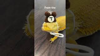 KSI remix ksisong thickofit ksisongmeme beardeddragon reptiles shorts funnymemes funny [upl. by Janenna862]